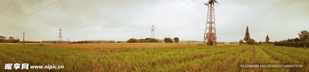 乡村田野