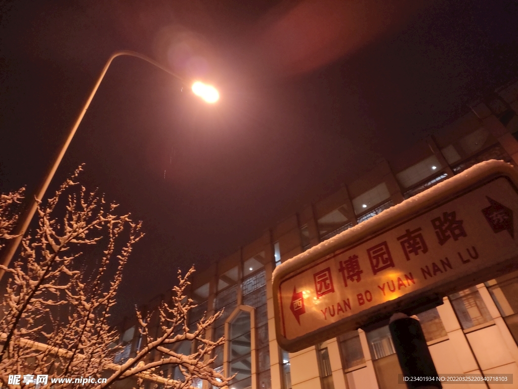 下雪天路灯和公交站牌