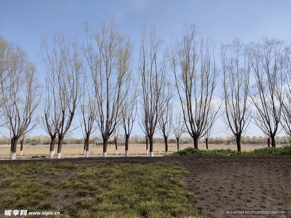 北京园博园杨柳岸道路