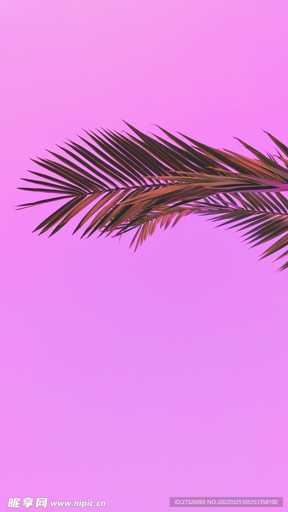 紫色背景 