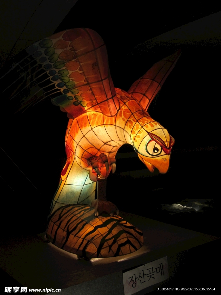 飞鹰