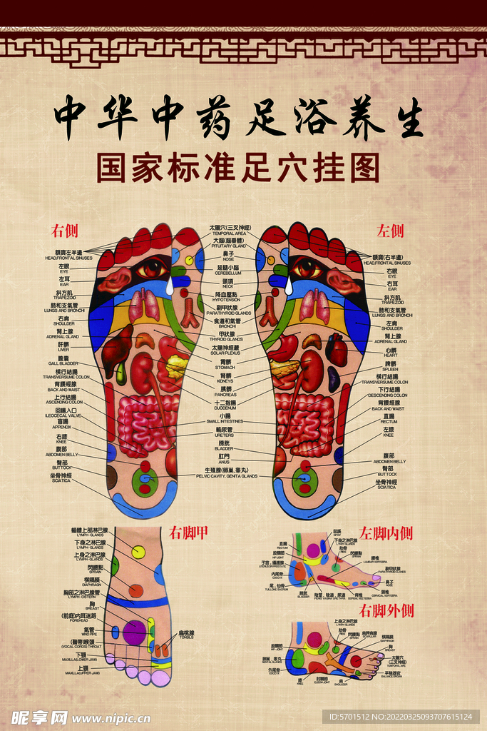 足底穴位图