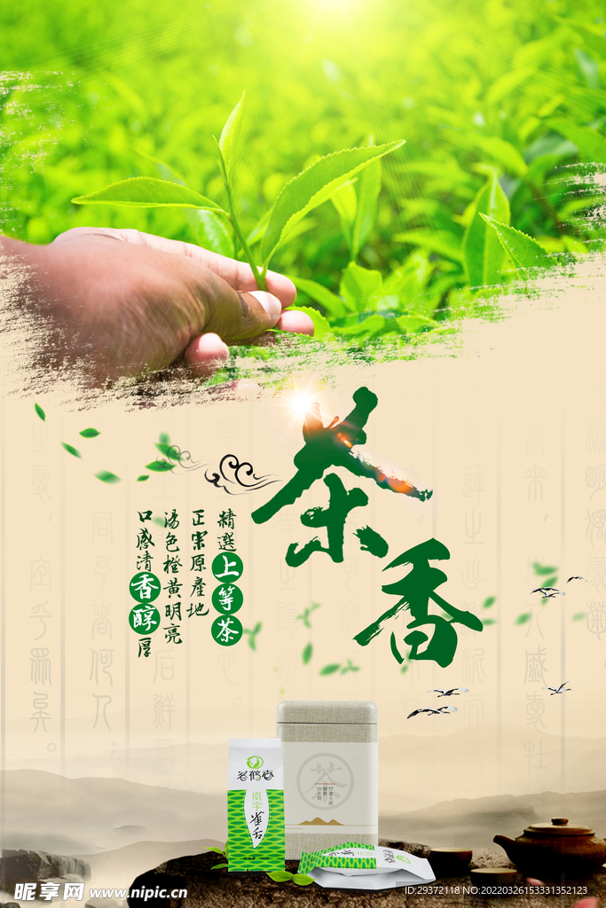 茶叶茶香春茶上市海报设计