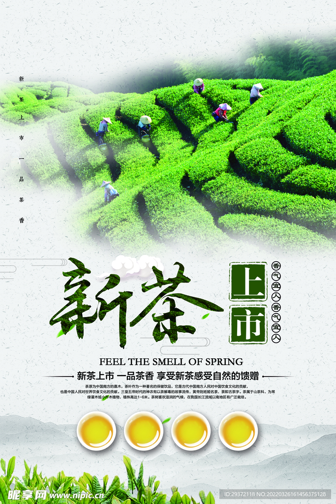 创意中国风新茶上市春茶上市宣传