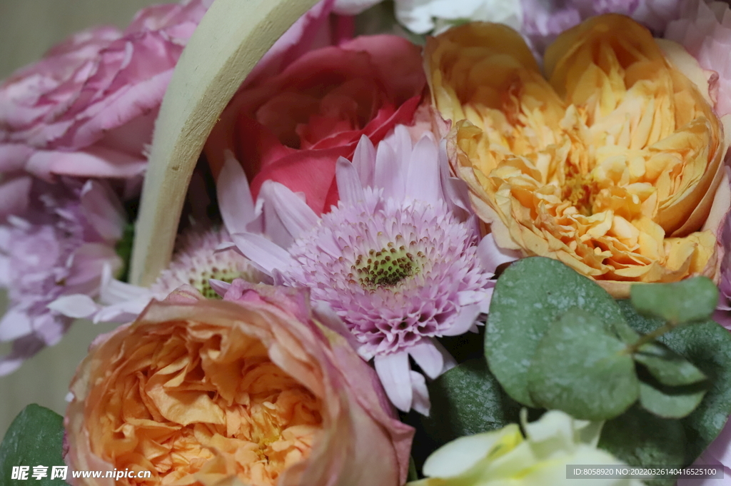 特写花篮