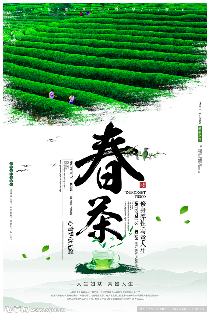 简约春茶上市新品上市促销海报