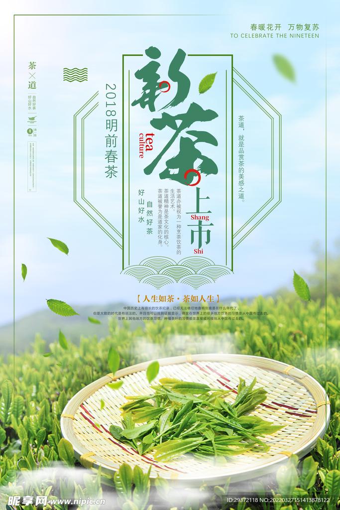小清新明前春茶上市茶文化海报