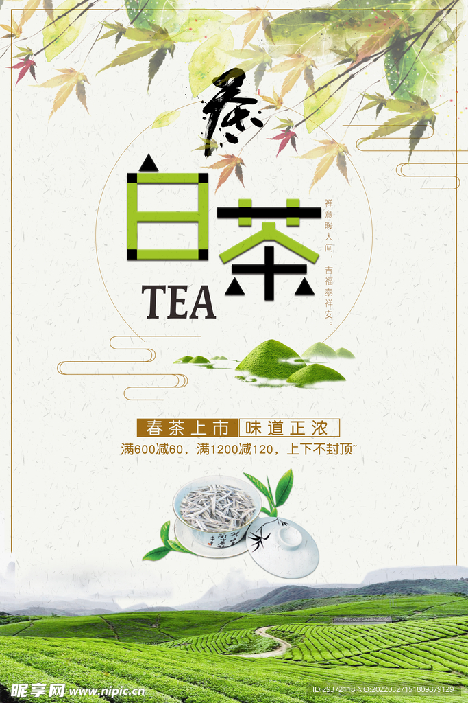 中国风白茶铁观音春茶上市促销