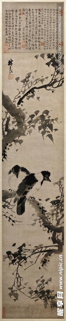 花鸟画  