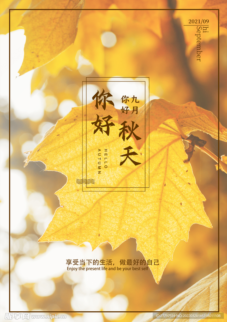 秋天节气海报