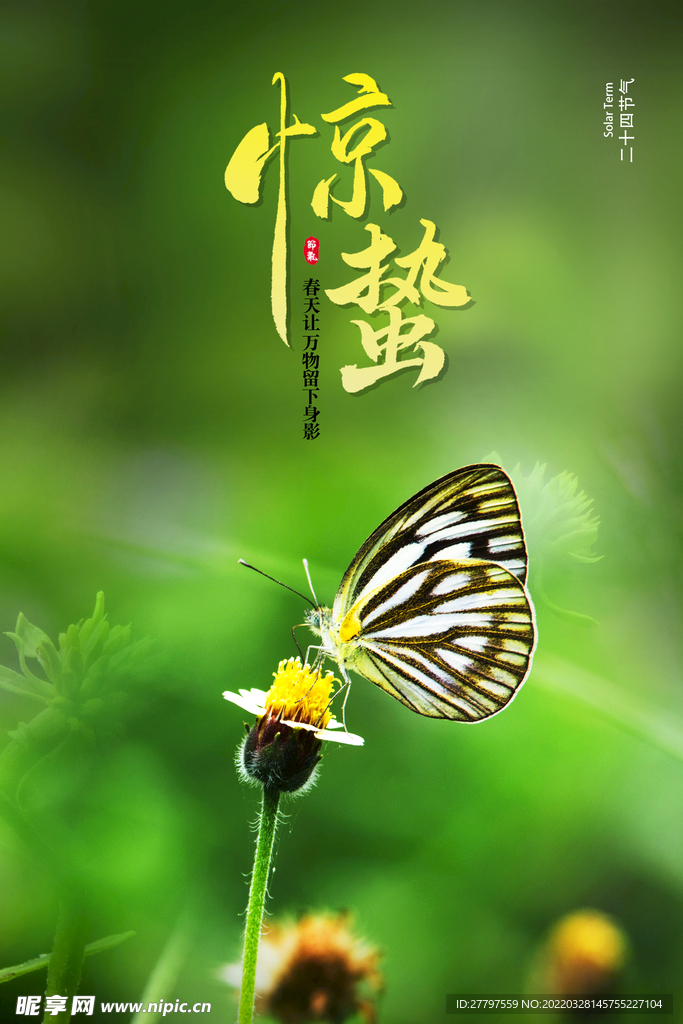 惊蛰节气海报