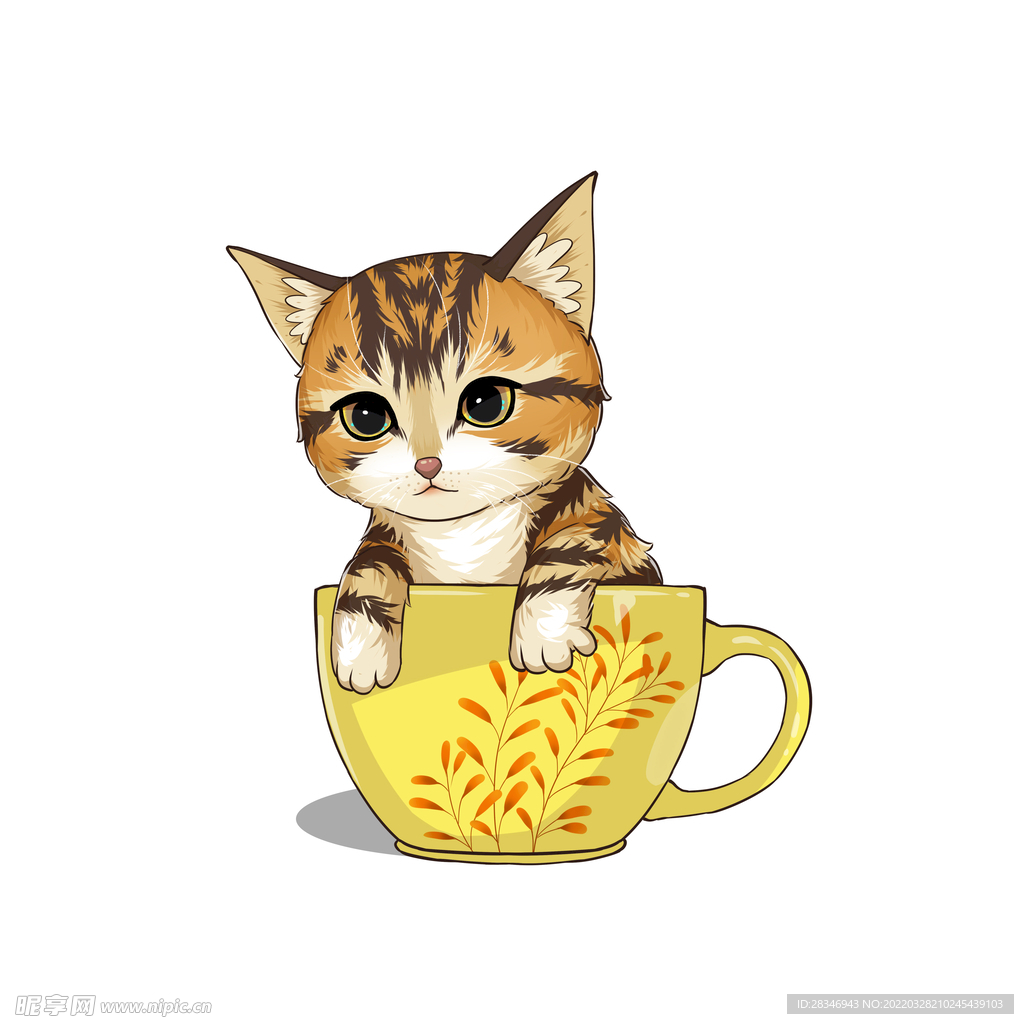 茶杯猫            