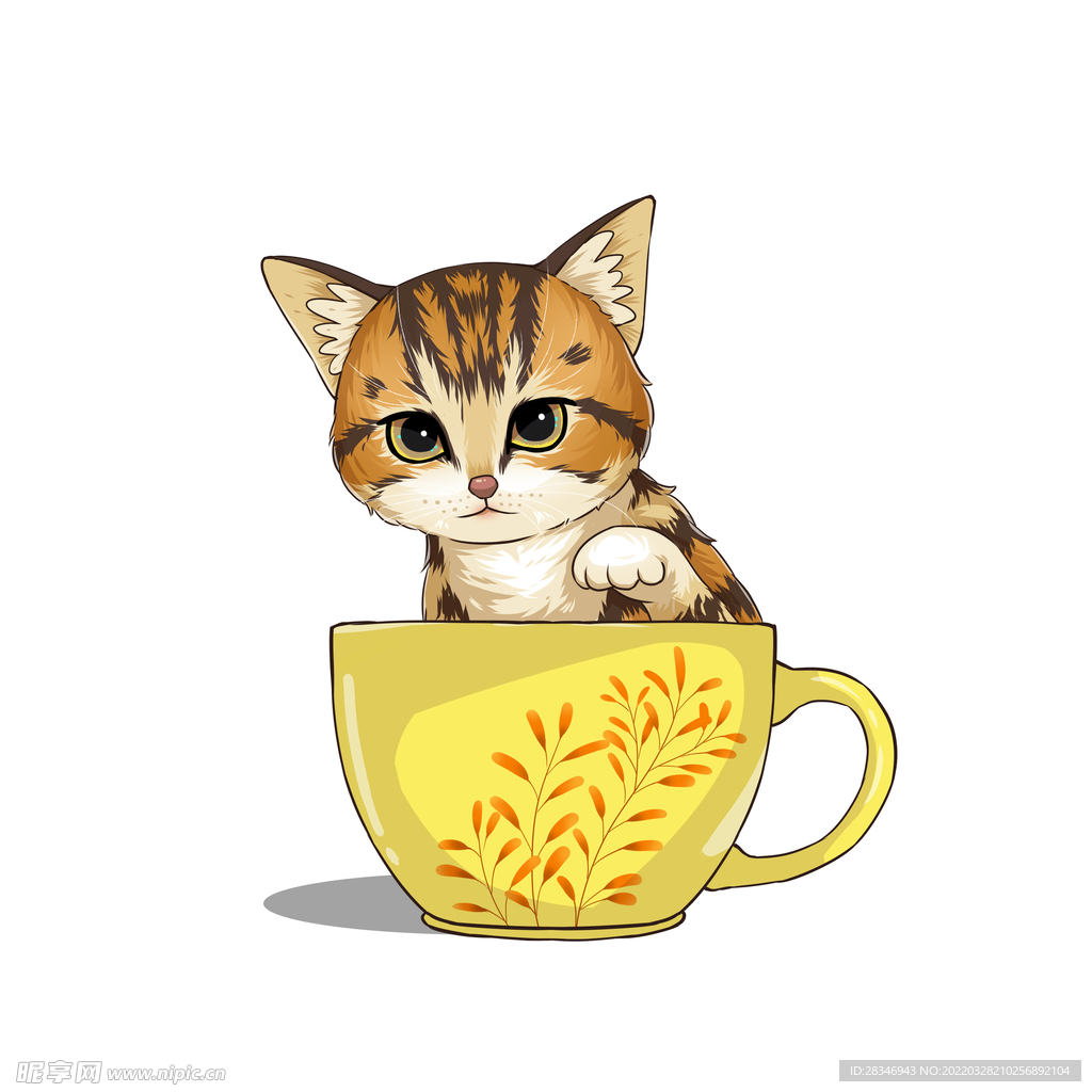 茶杯猫            