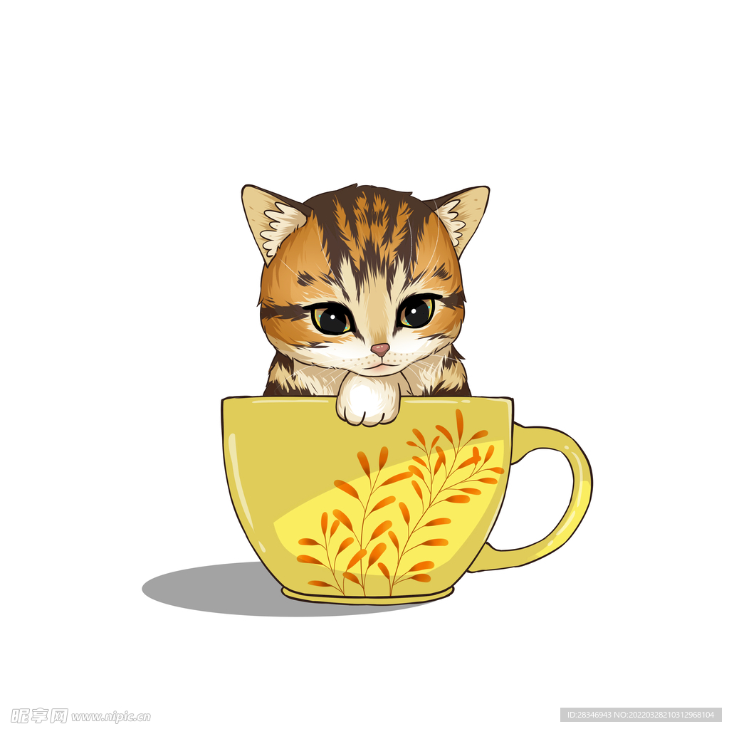 茶杯猫            