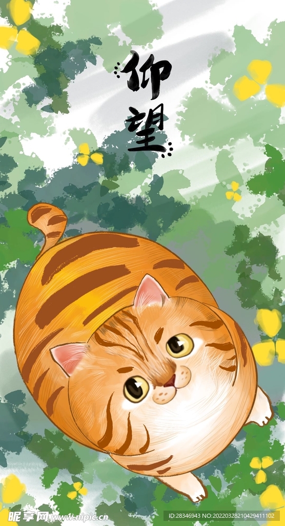  萌主猫           