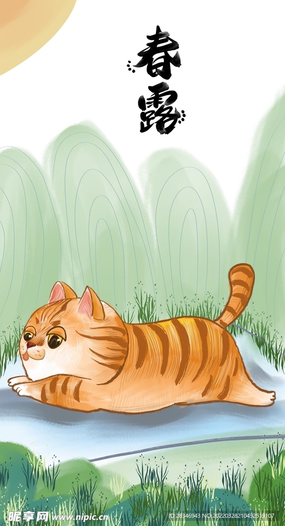  萌主猫           