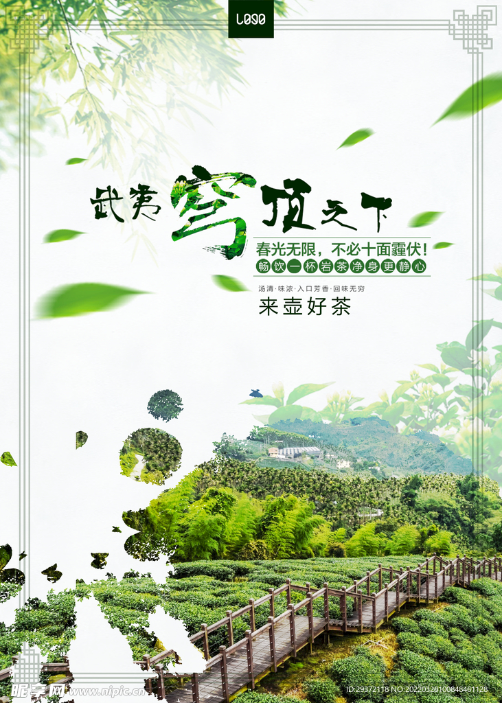 茶叶茶园武夷山春茶上市海报