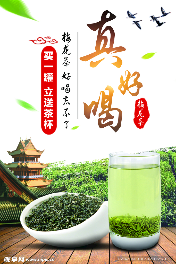 乌龙茶真好喝春茶上市促销海报