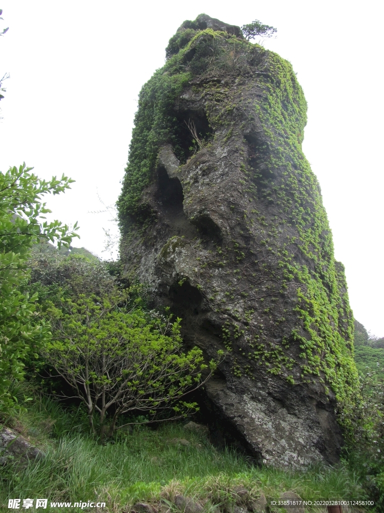 山石