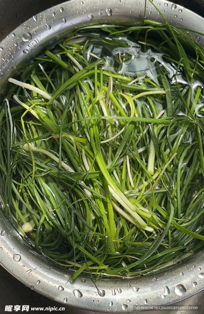 小野蒜