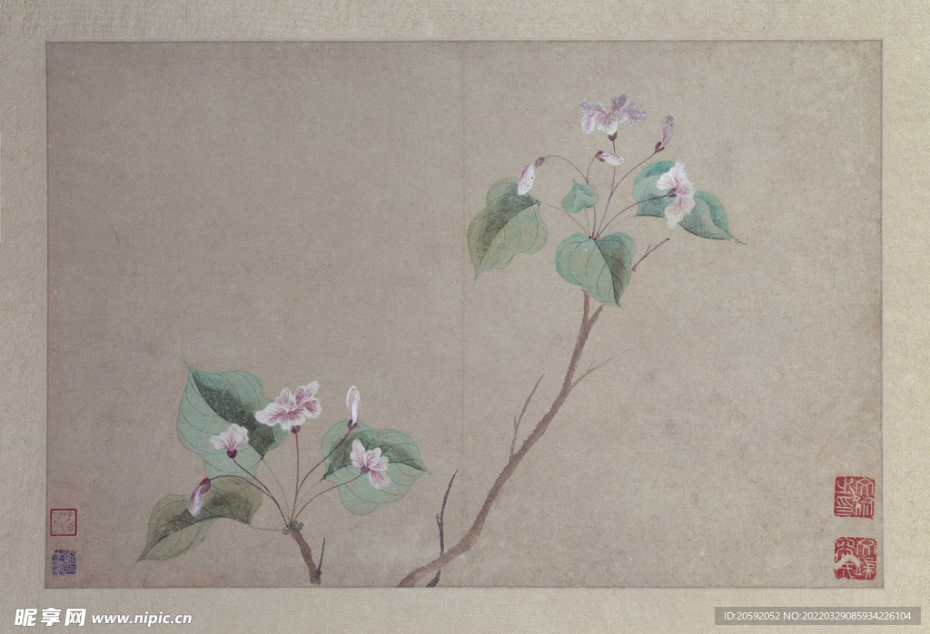 花鸟画 