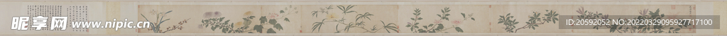 花鸟画 
