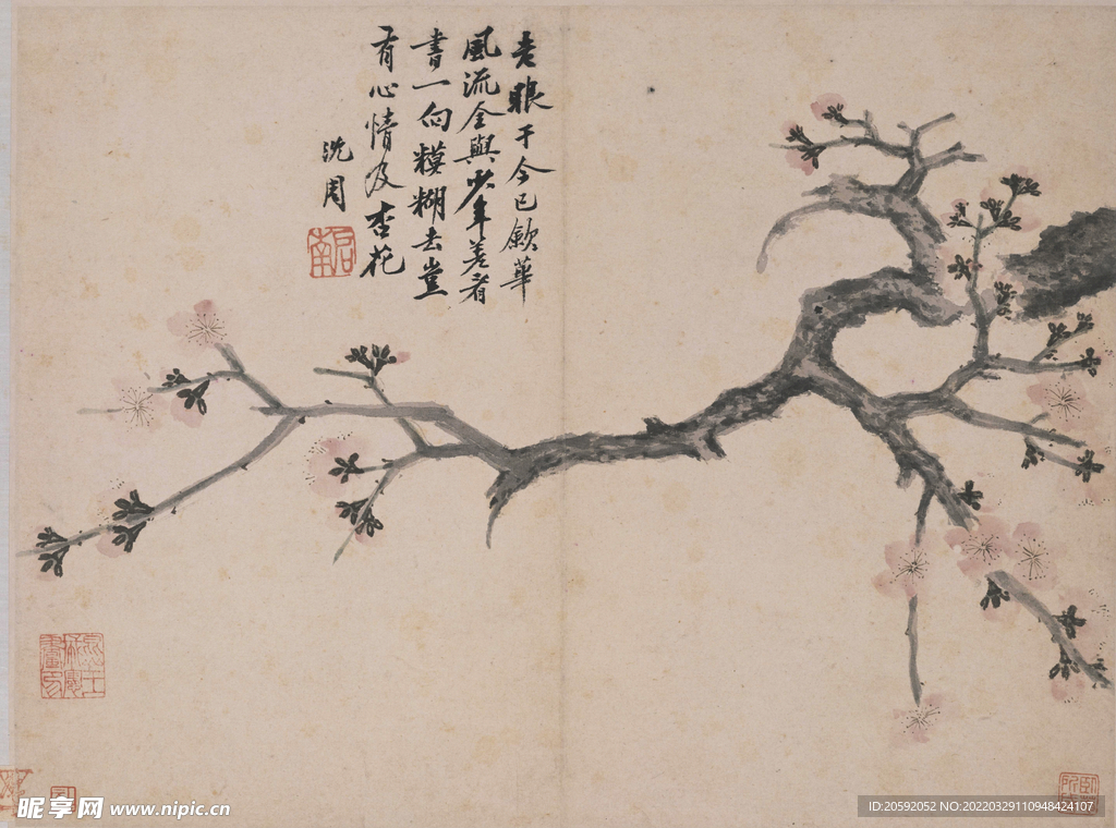 花鸟画 
