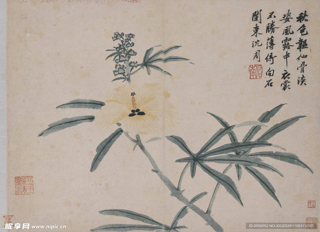 花鸟画 