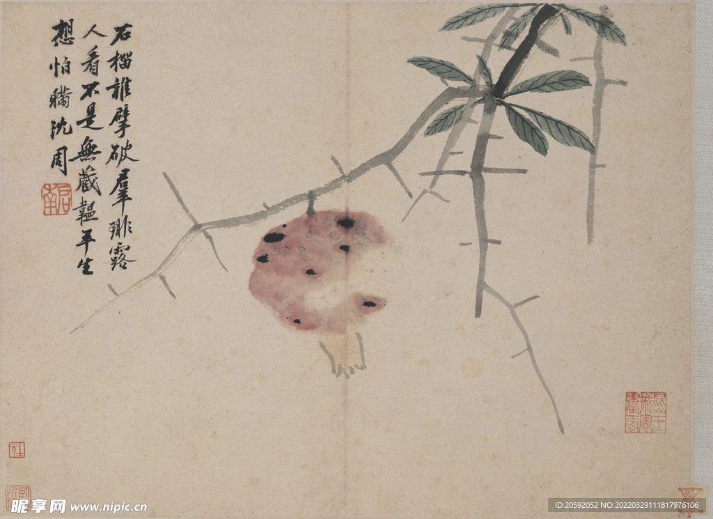  花鸟画  