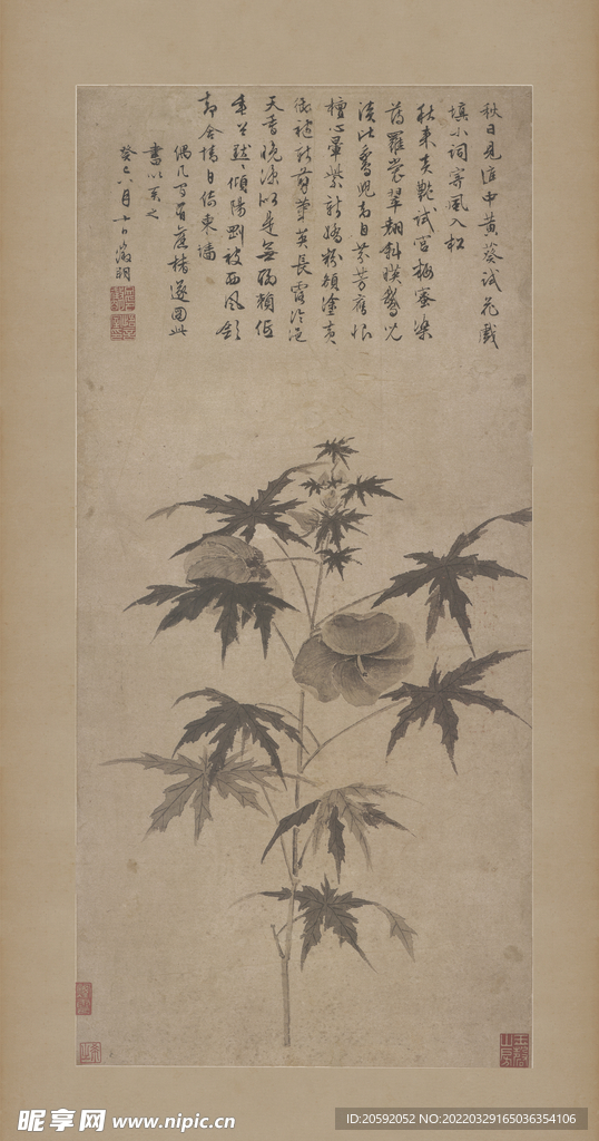 秋葵折枝图