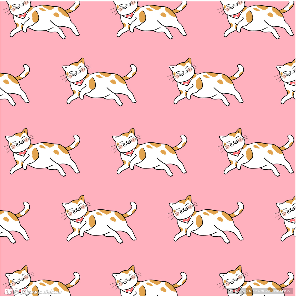 可爱小猫 