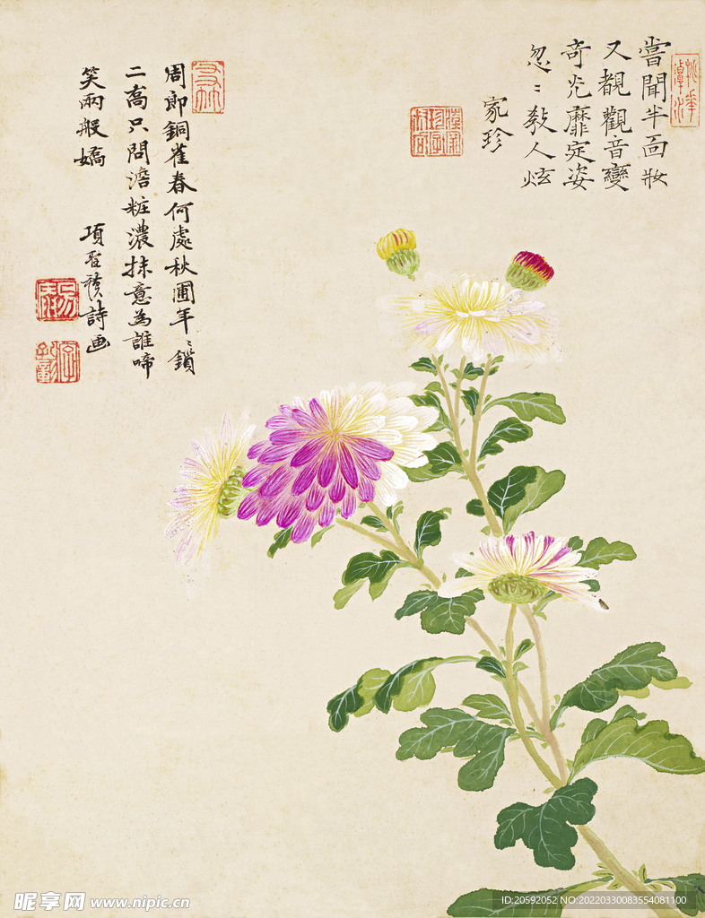 花鸟画  