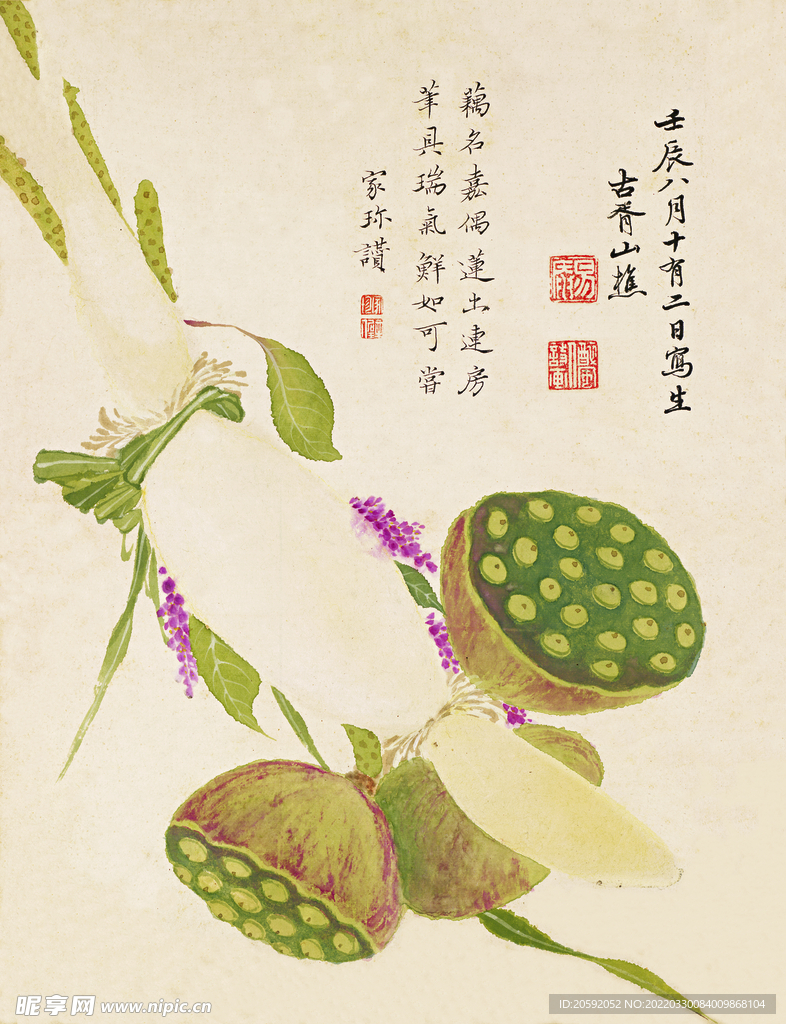 花鸟画  