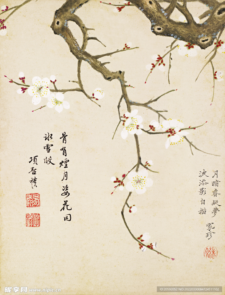 花鸟画  