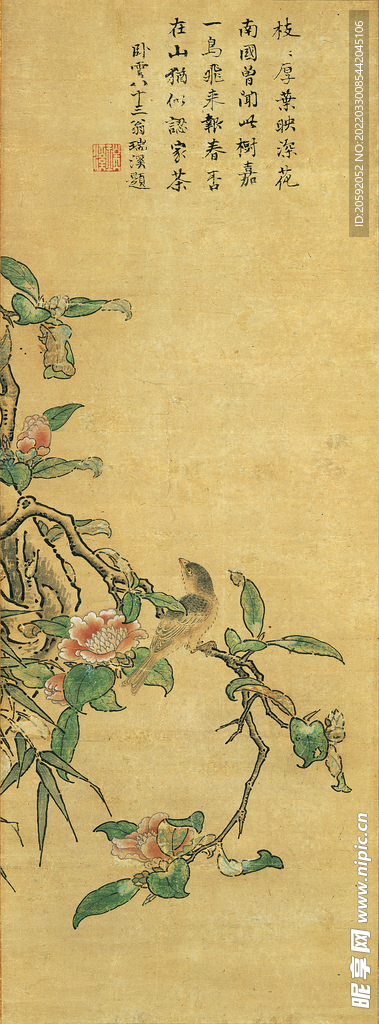 花鸟画 