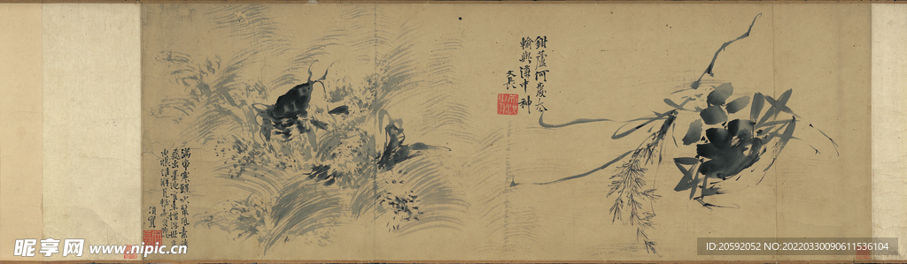 花鸟画  