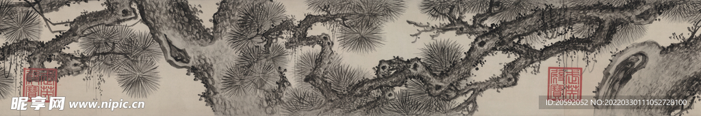  松树  