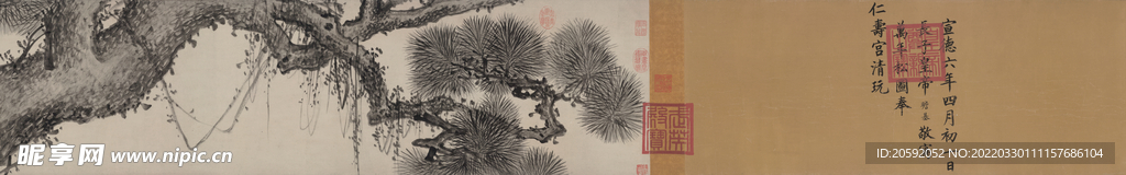   松树  