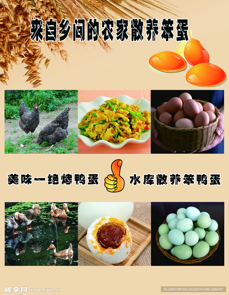 门贴海报