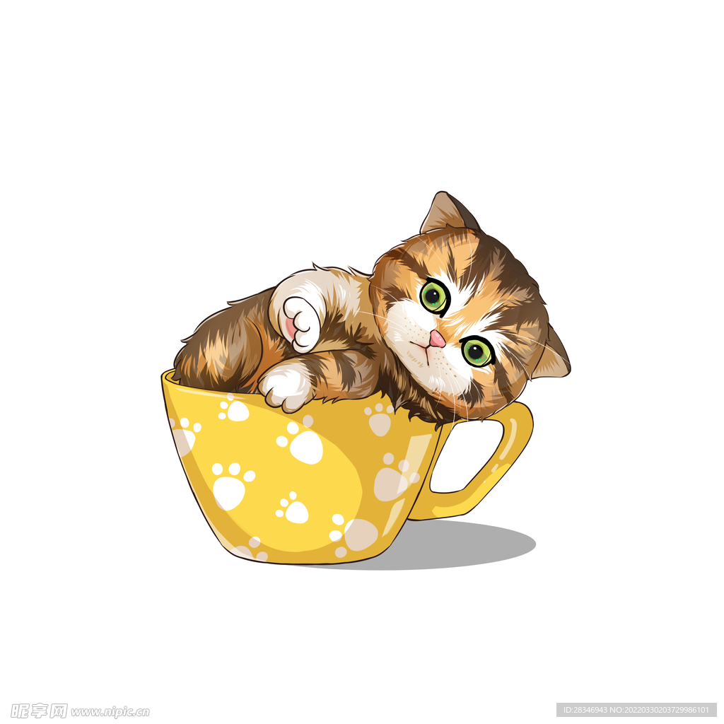 茶杯猫            