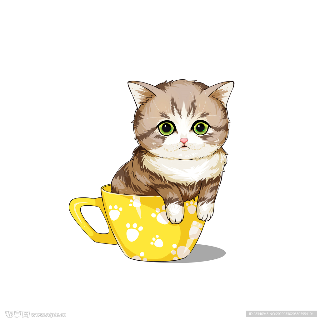 茶杯猫            