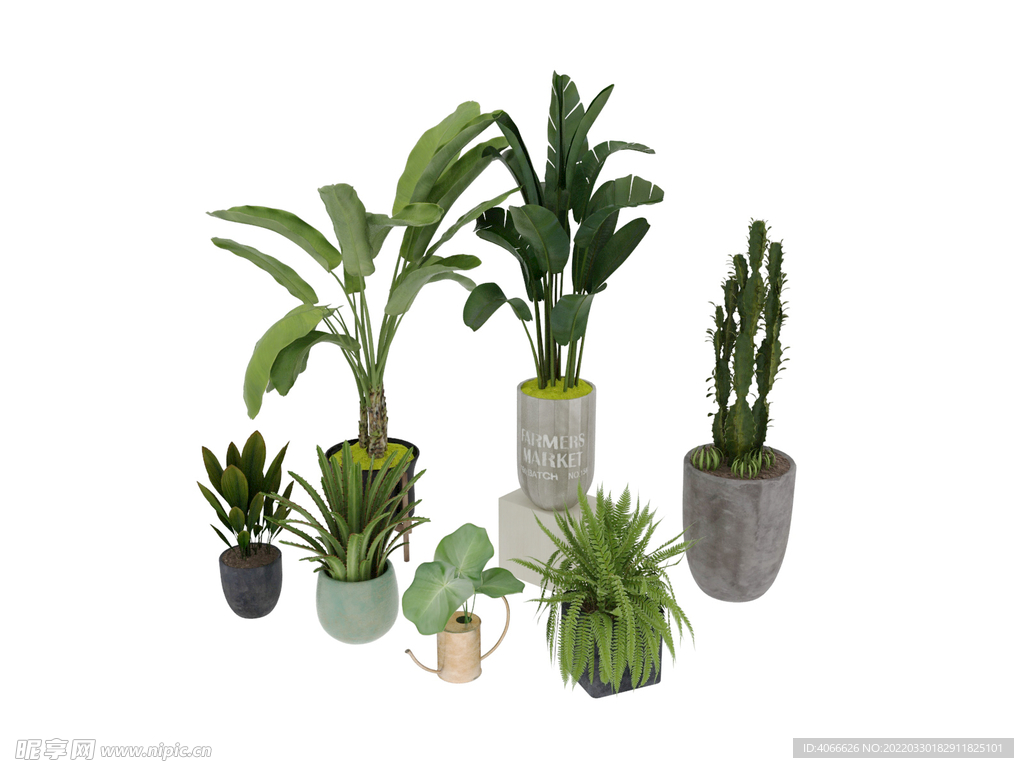 植物盆栽3d模型