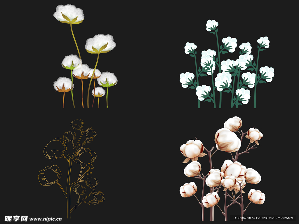 棉花