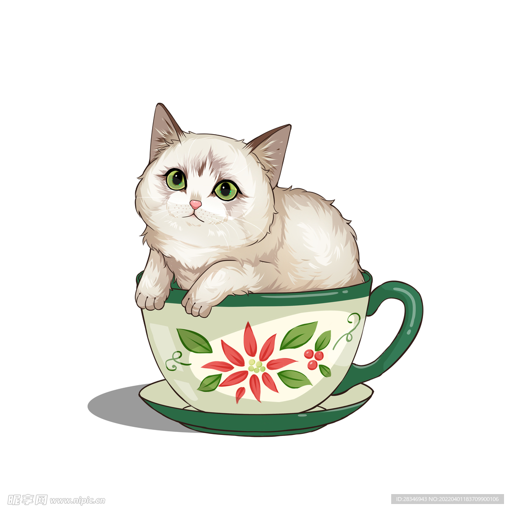 茶杯猫            