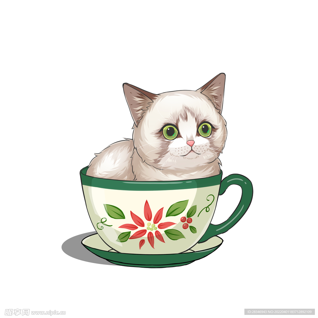 茶杯猫            