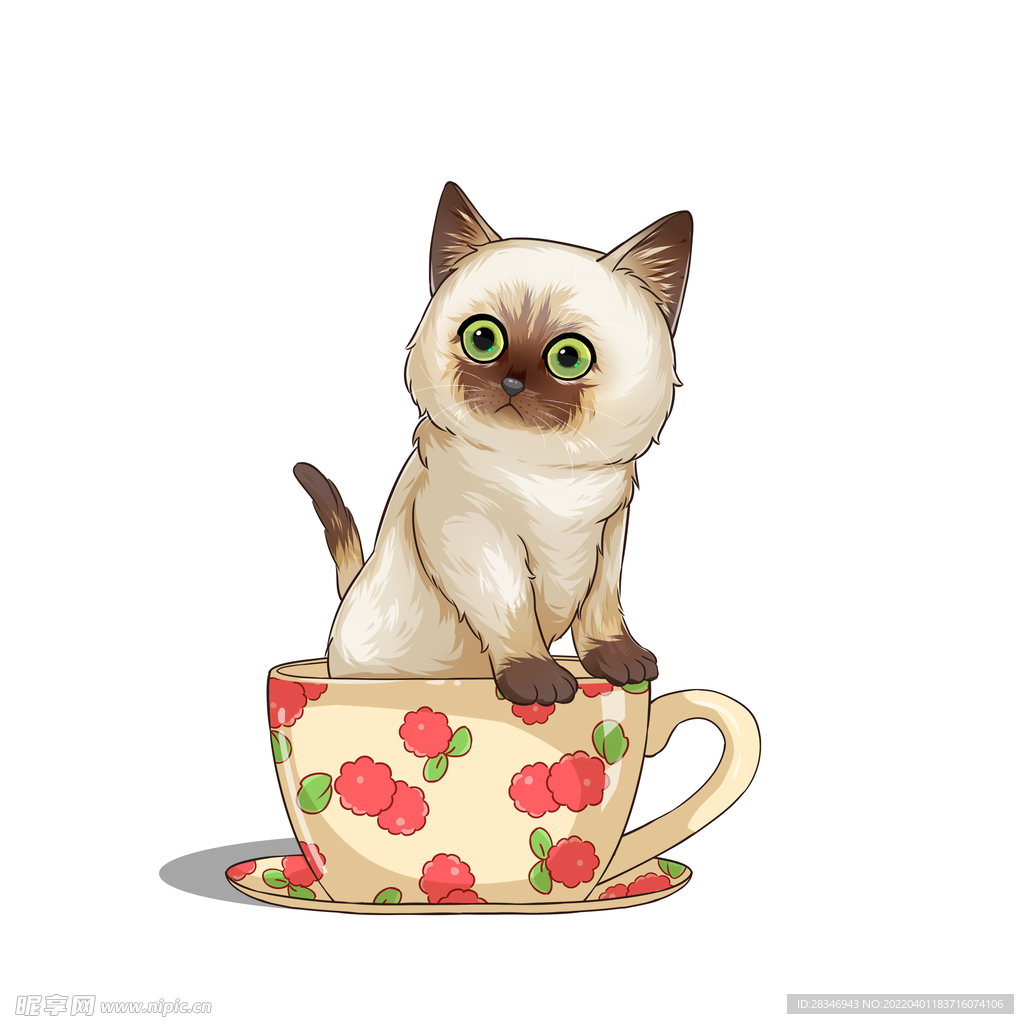 茶杯猫            