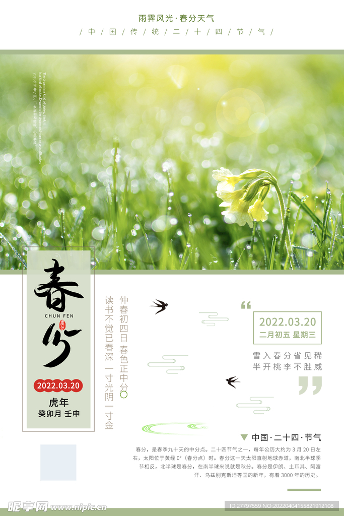 春分节气海报