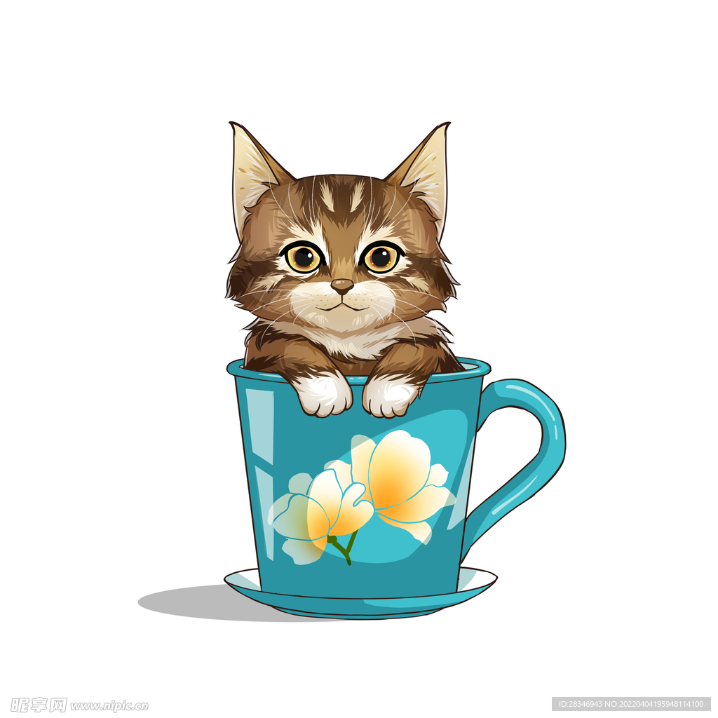 茶杯猫            