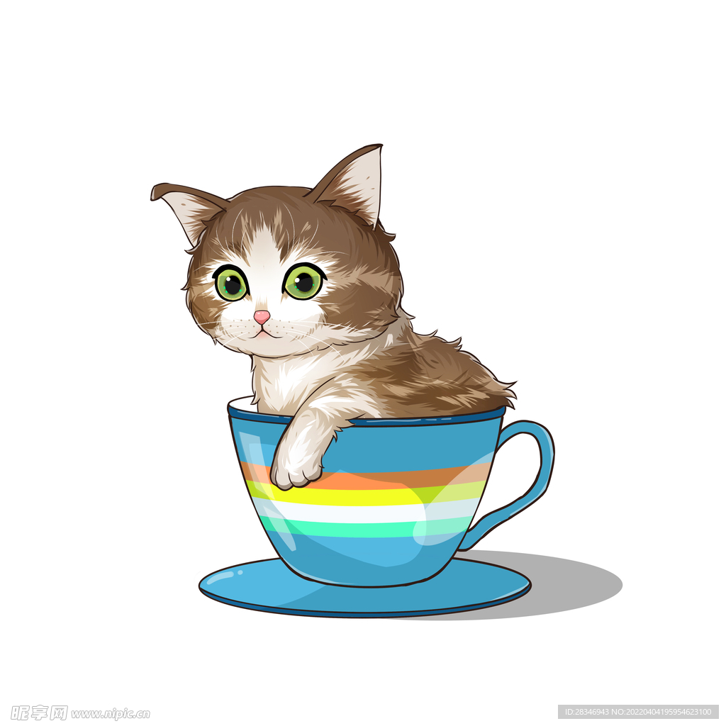 茶杯猫            