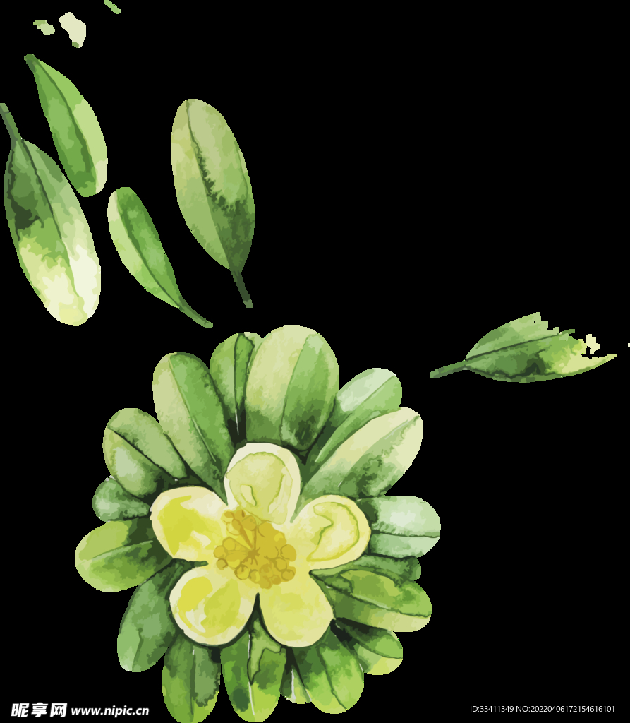 山茶花图片